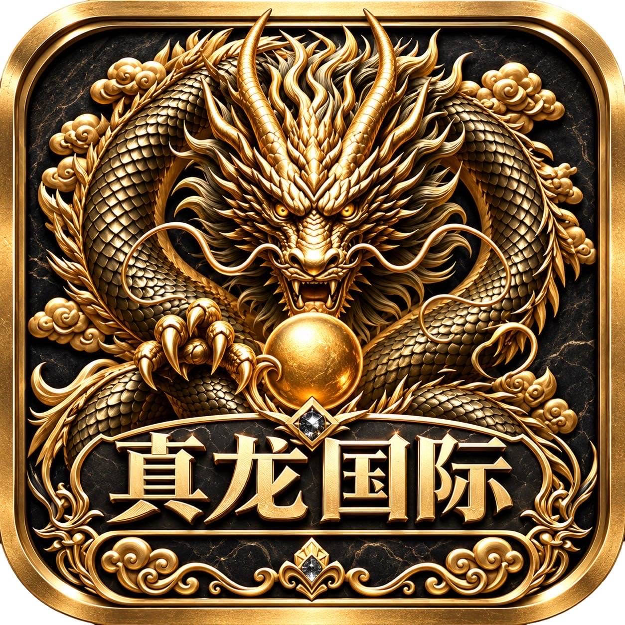 真龙国际